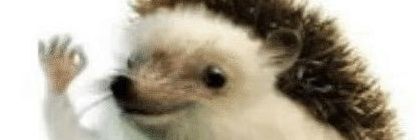 dyslexicnamay's profile banner image