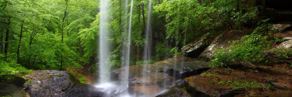 LOFGAMobile Profile Banner