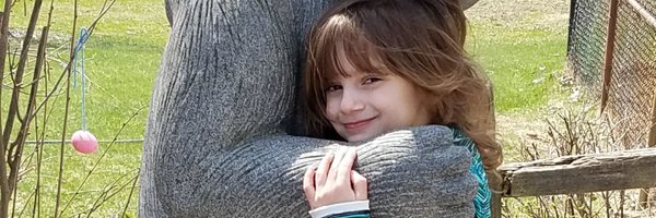 lisa_ljweeks Profile Banner