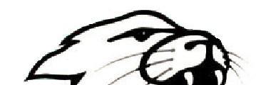 HJS banner