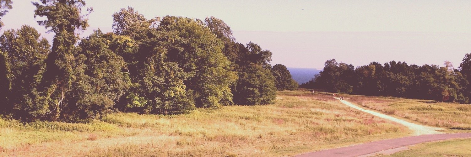 TimmyFelice's profile banner image