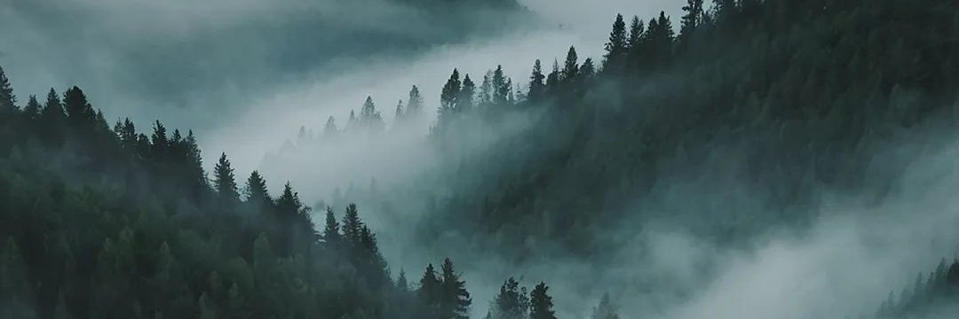 autumnic4's profile banner image