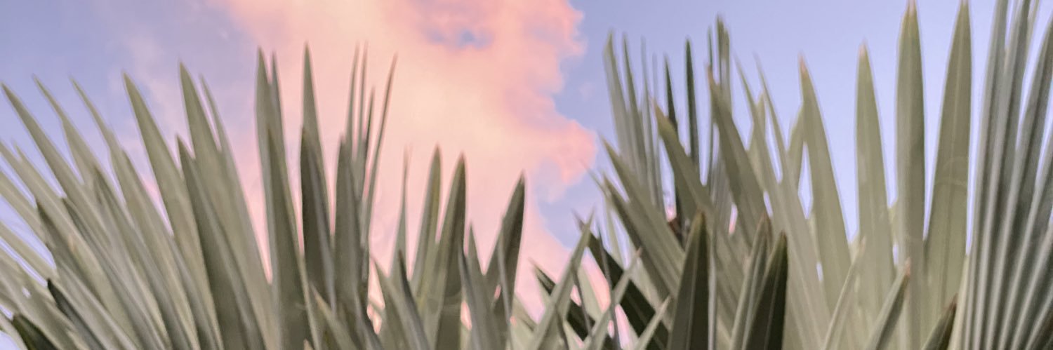 Helen Adilia Arceyut-Frixione banner