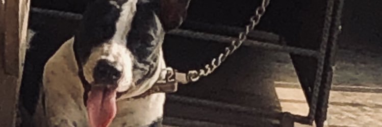 ciiddaniels's profile banner image