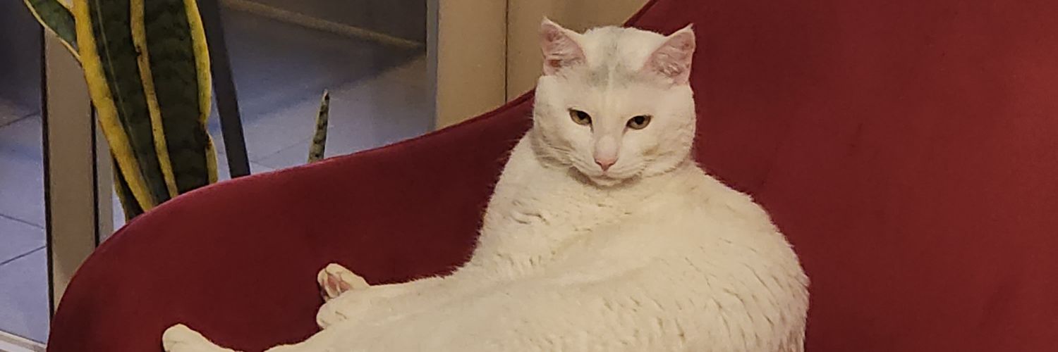 ApunkALeX's profile banner image