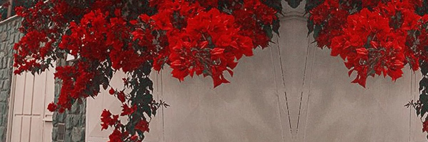 Koky banner