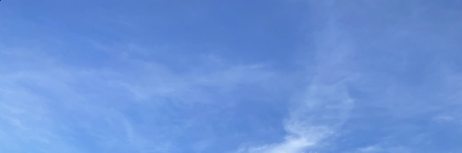 luaninhamb's profile banner image