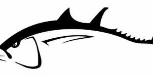 STV_TUNA's profile banner image