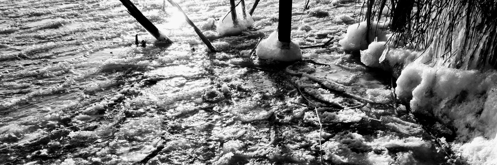 🅵🅻🅾🆁🅸🅰🅽 🅽🅸🅴🅵🆄🅴🅽🅳 banner