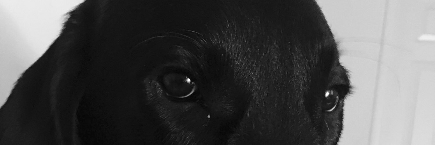 EricHal10's profile banner image
