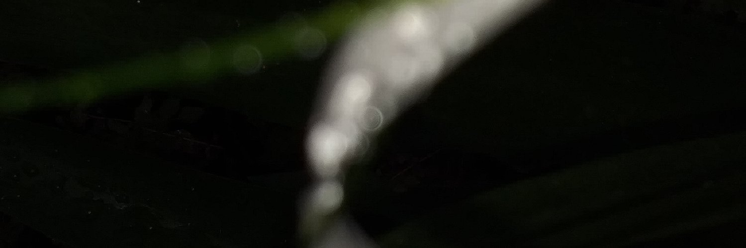 akter_sheuly's profile banner image