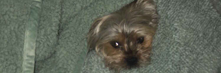 Lalo8O's profile banner image