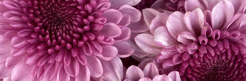 indecriblething's profile banner image