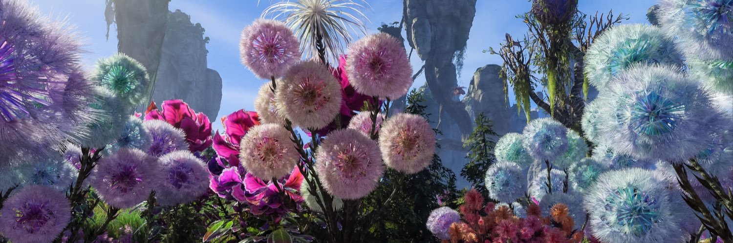 anakandrose's profile banner image