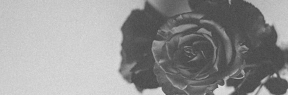 stqy_'s profile banner image