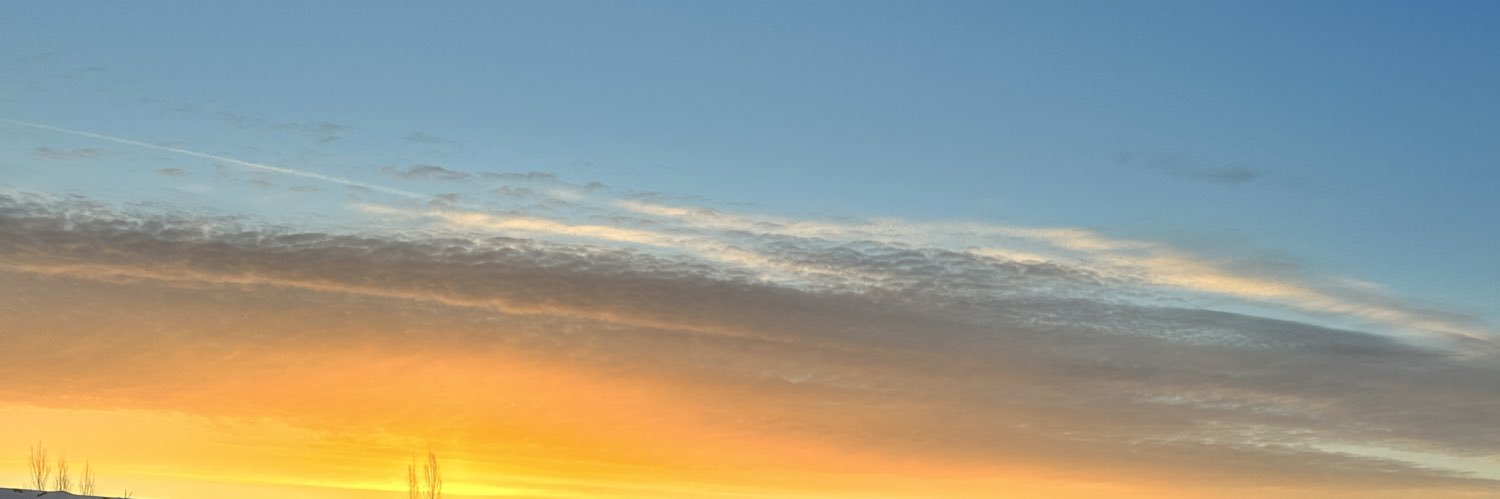 niknakcook's profile banner image