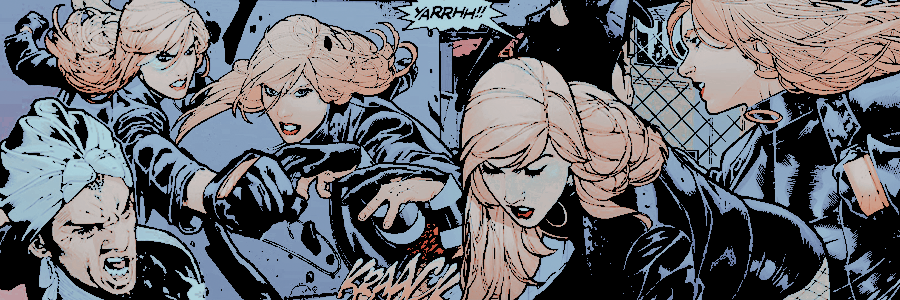 prettxbird's profile banner image