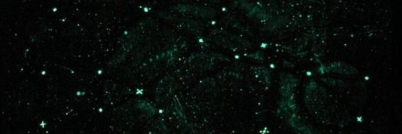 sdsolomon01's profile banner image