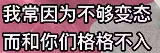 乒乓巡 banner