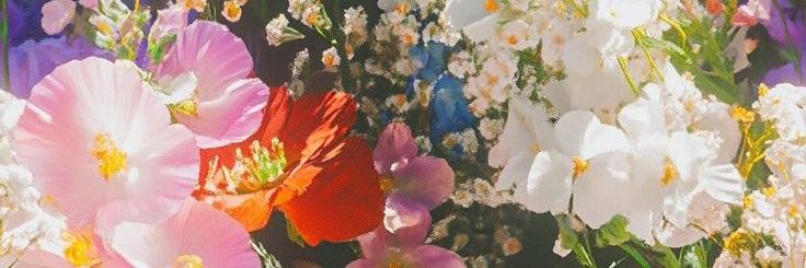 NoeBarral's profile banner image