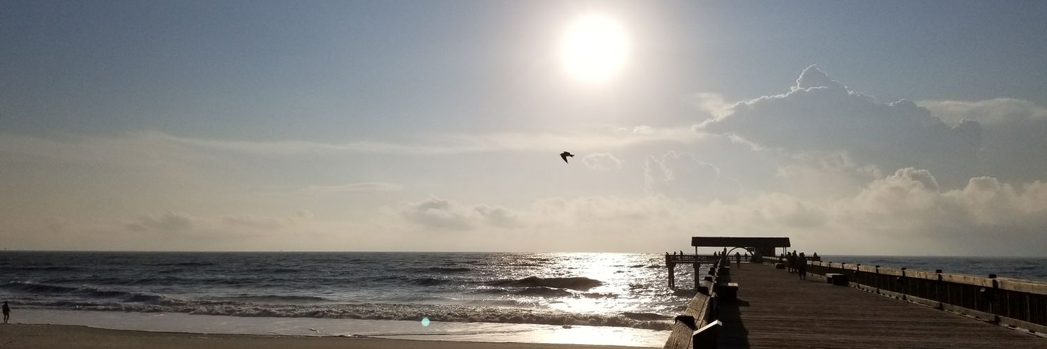 Barnescj's profile banner image