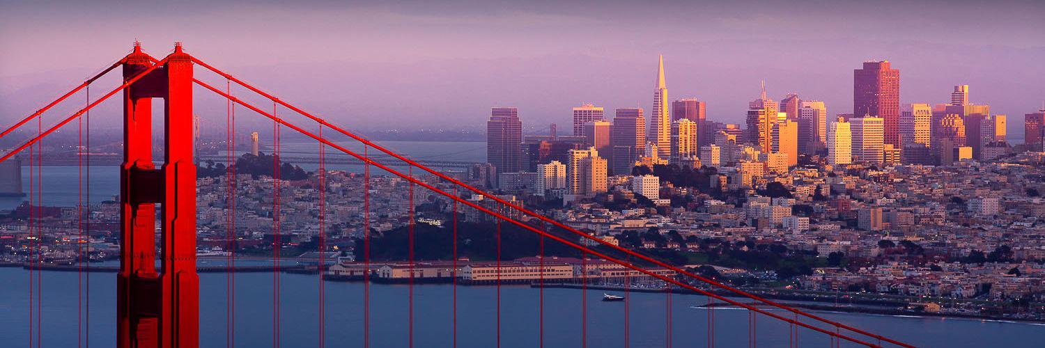 Michael Halloran banner