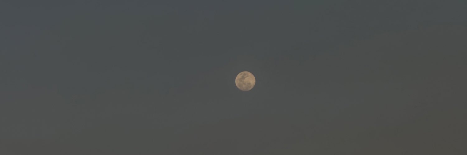 shureenuh's profile banner image