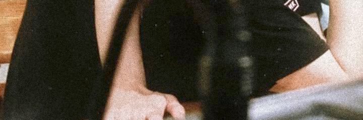 NesttesN's profile banner image
