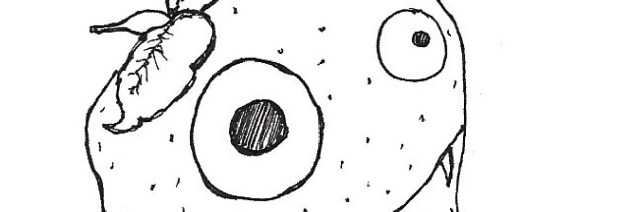 HillaryBooneVT's profile banner image