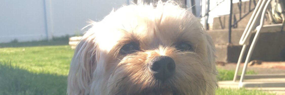 mollyclare_'s profile banner image