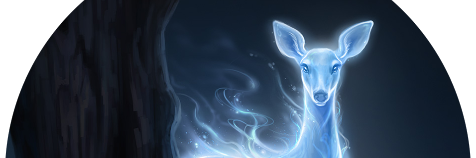 NavyaElizabeth's profile banner image