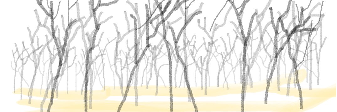 ngdangha's profile banner image