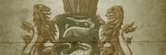 vanboio's profile banner image