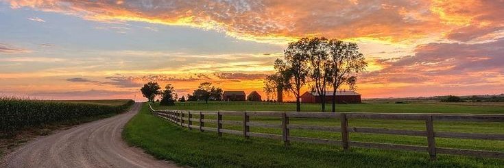 cillireed's profile banner image
