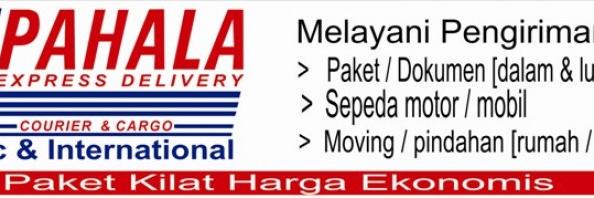 PAHALA LESANPURO banner