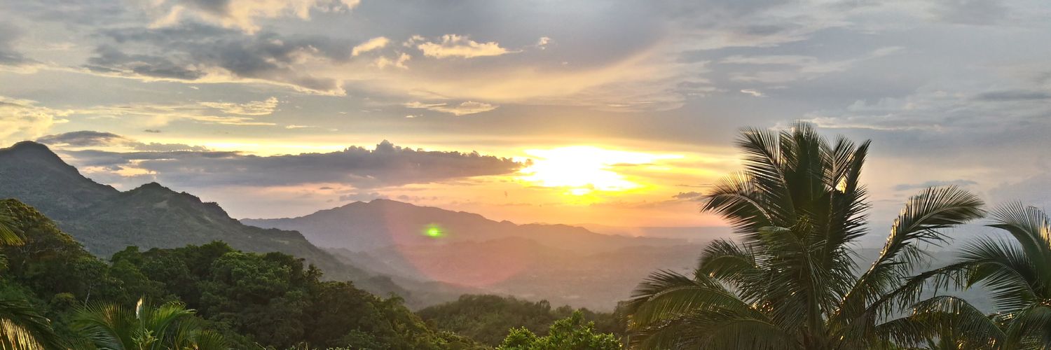 denisemf_'s profile banner image