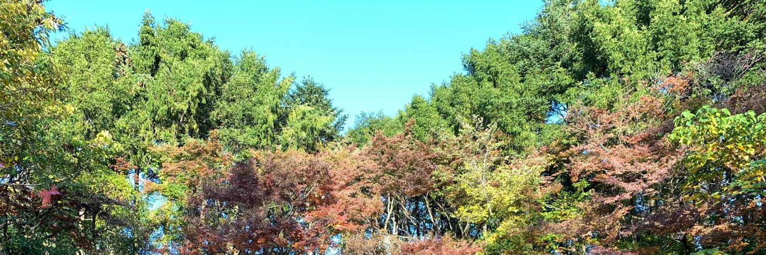 cmacarna's profile banner image