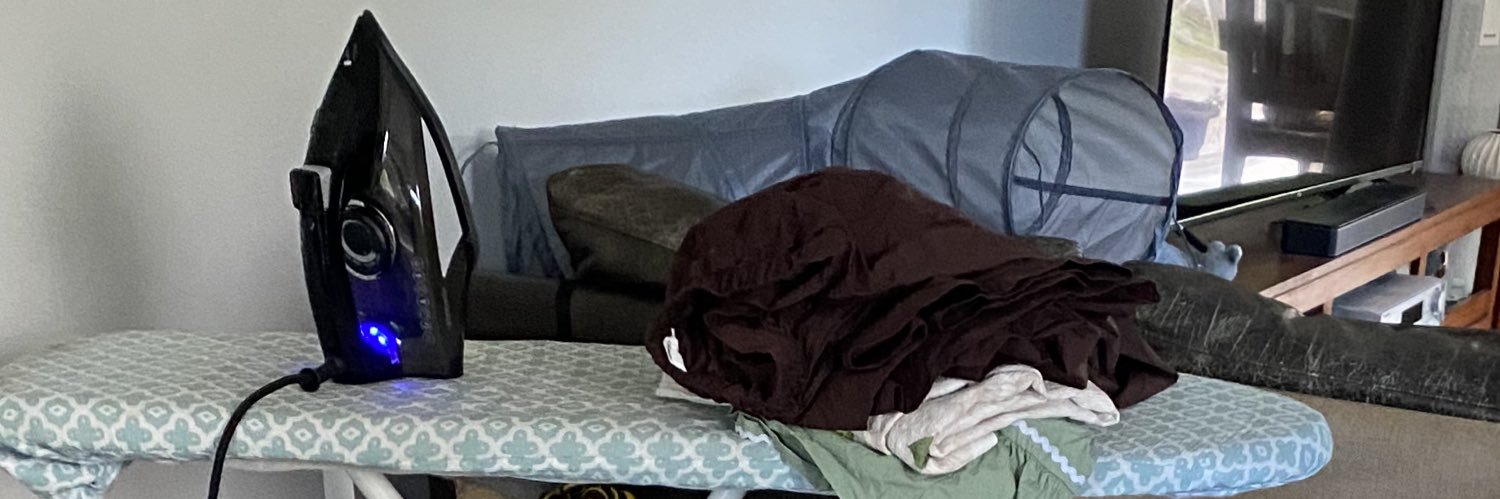 Pippy Grannypants🍉 banner