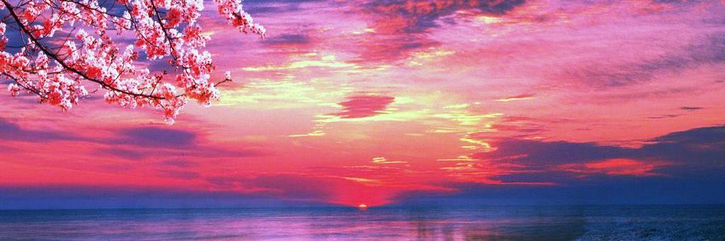 missdoublebay's profile banner image