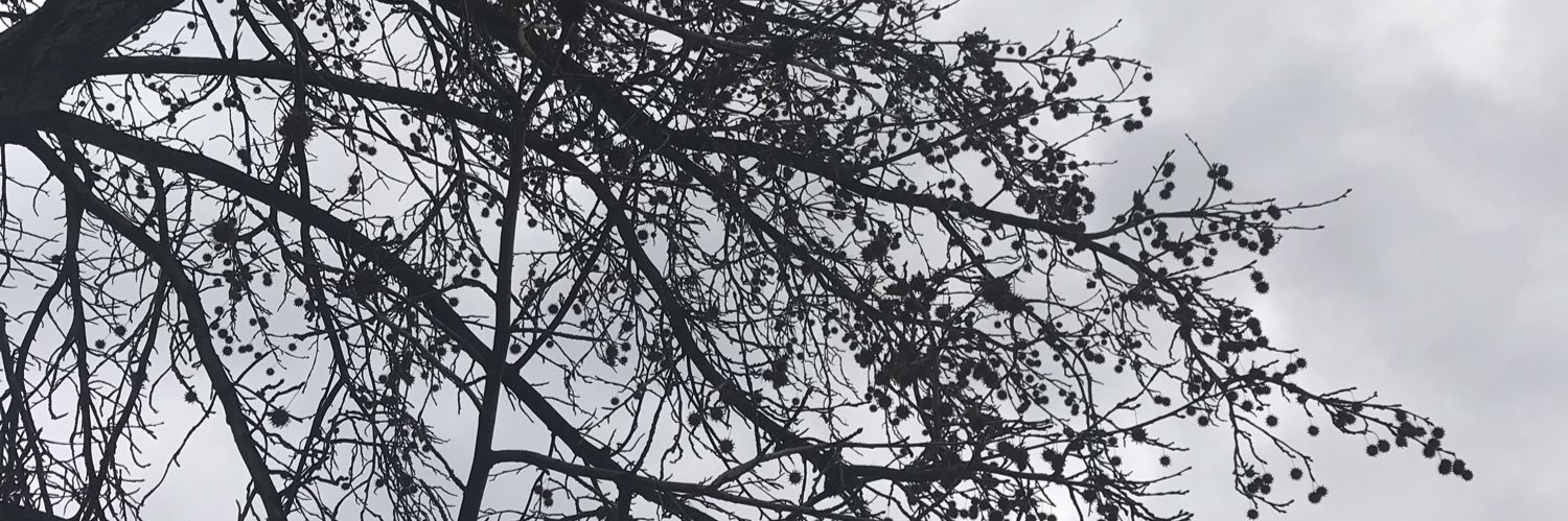 JohnyRz's profile banner image