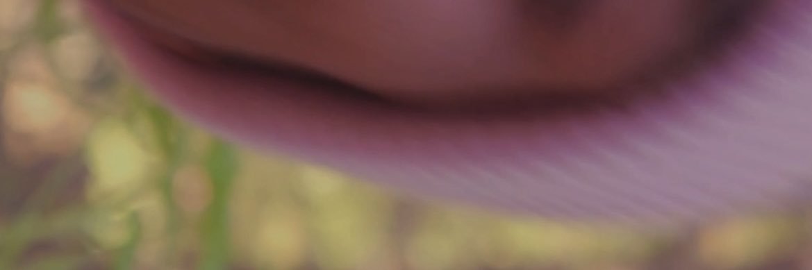 Chris’s Vision banner