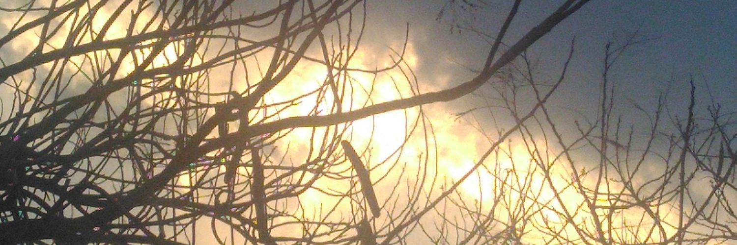 3pratibha1's profile banner image