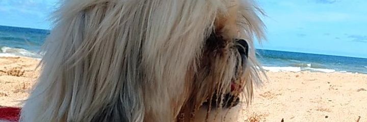 Stefhane13's profile banner image