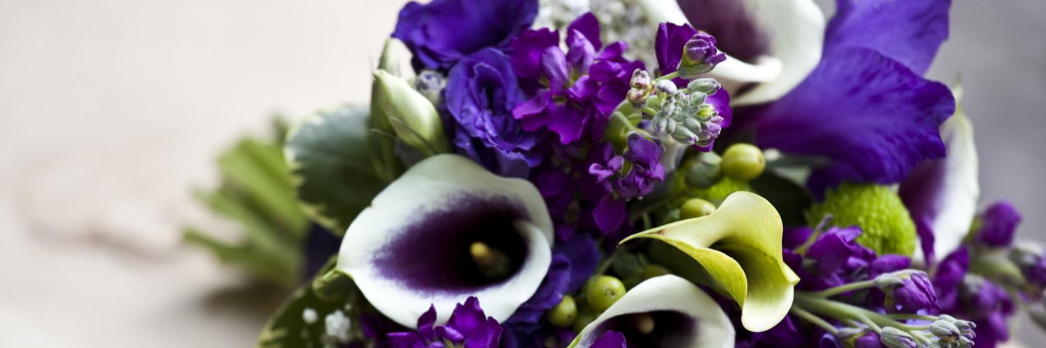 Christine Simard banner