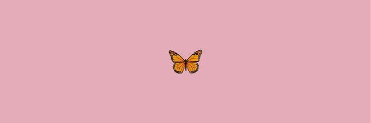 bellabivins's profile banner image
