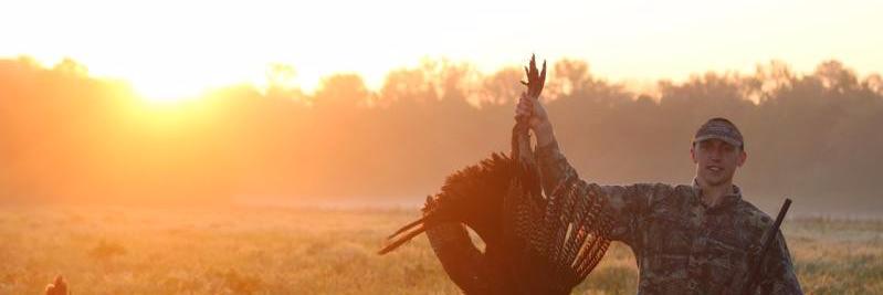 Sportsman's box banner