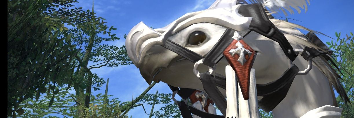 Popocoy banner