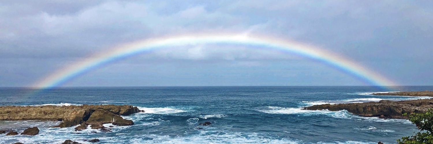 Lottie Stanley banner