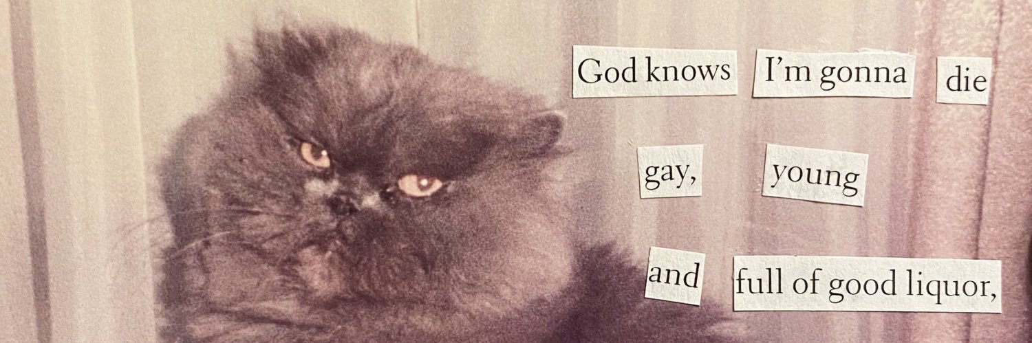 c0stcoprincess's profile banner image