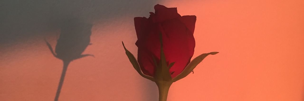 daddyrlean's profile banner image